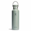 621 ML STANDARD FLEX CAP AGAVE P181695P