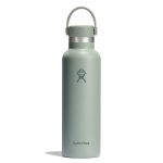 621 ML STANDARD FLEX CAP AGAVE P181695P 