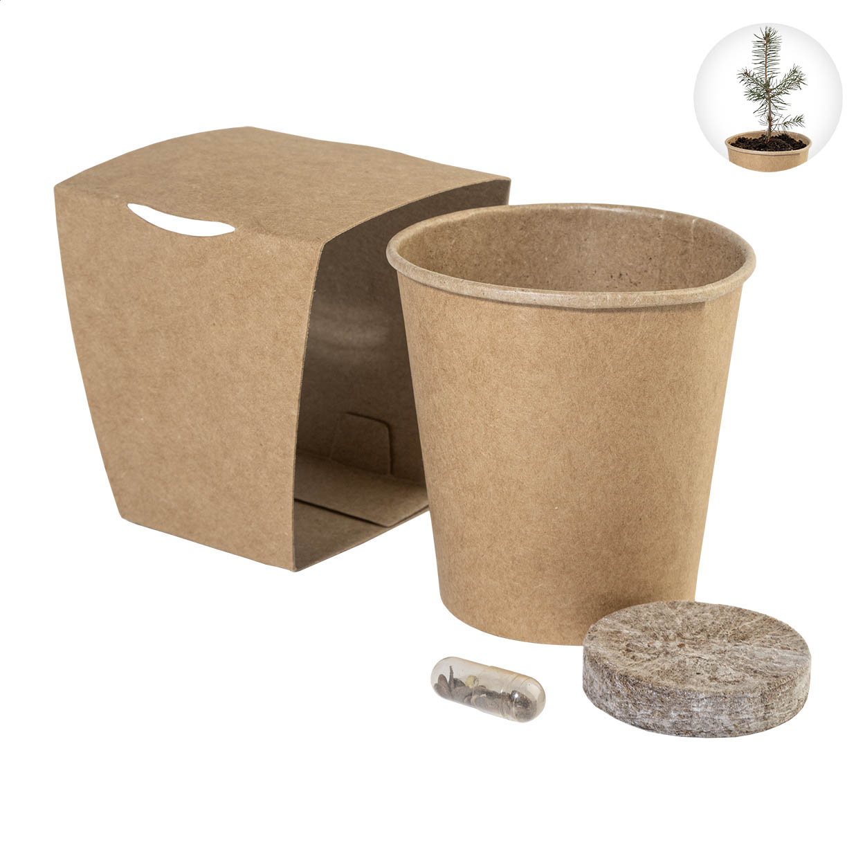 Sada pro pěstování vánočního stromku MerryGrow P180193D AN-AP757019