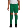 SAN SIRO KIDS 2 SHORTS P186074O bright green