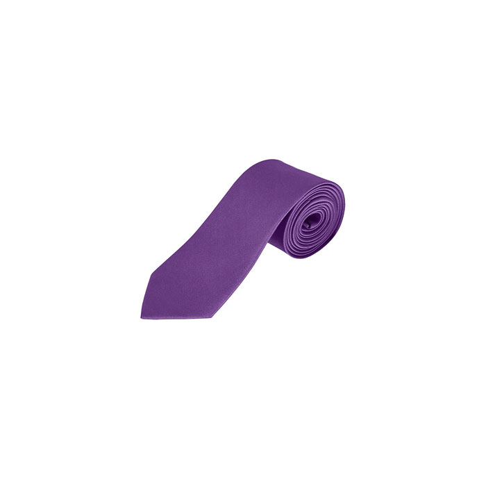 GARNER SATIN TIE P187195O dark purple
