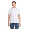 LYAM T-SHIRT P189035O off / white